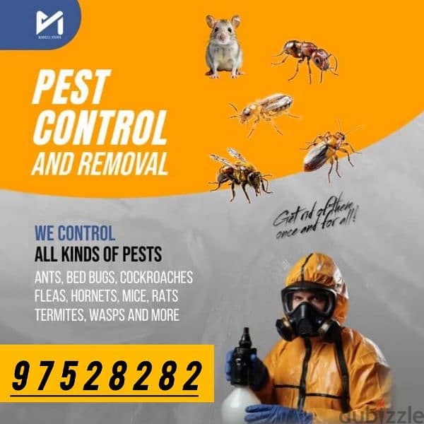 Pest Control Treatment Service for Insect Rats Aunts Bedbugs 0