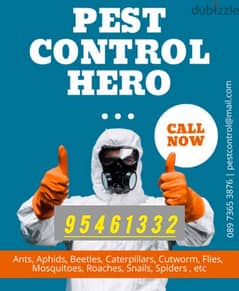 General Pest Control service for Cockroaches Bedbugs insects aunts