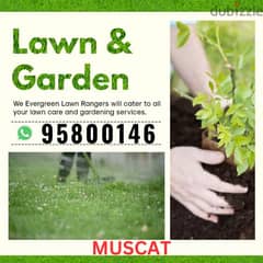 Garden maintenance/Cleaning services, Plants Cutting, Tree Trimming,