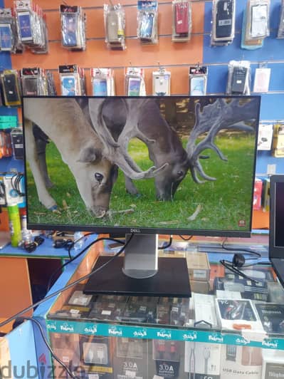 FIXED PRICE DELL MONITOR 24 INCH BOADLEES