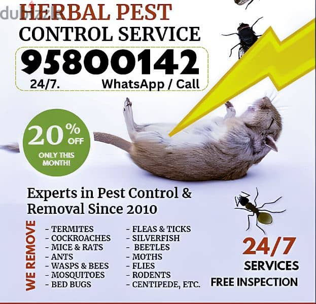 Pest Control services, Bedbugs Treatment available, Insect Ants etc 0