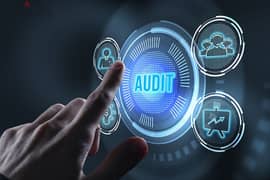 Financial Auditing for Tax Authority