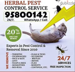 Pest Control services all Muscat, Bedbugs, Insect,Ants Rats etc 0