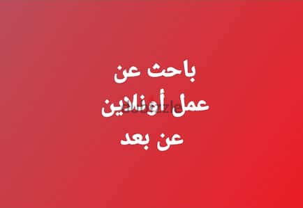 باحث عن عمل عن بُعد: سكرتير، خدمة عملاء، محاسب، كاتب محتوى SEO