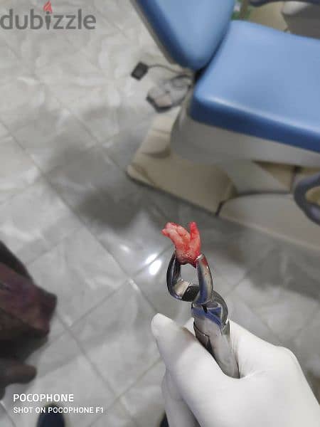 طبيب أسنان عام جاهز فيفا General dentist pass viva 4