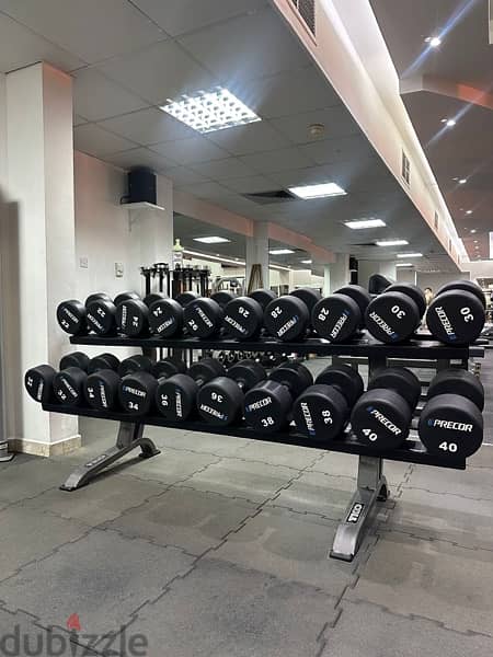 2 tier Rack and Dumbell set of 22kg - 40kg pairs 2