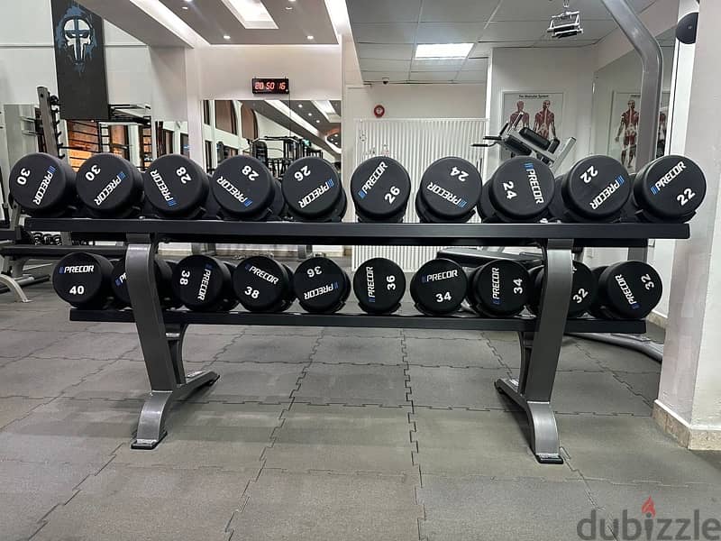2 tier Rack and Dumbell set of 22kg - 40kg pairs 3