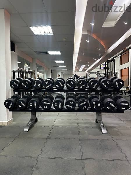 2 tier Rack and Dumbell set of 22kg - 40kg pairs 4