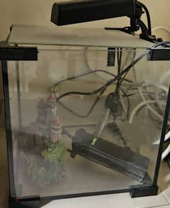 Fish tank (light, thermometer & decor included)