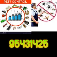 Pest control service with gaurantee