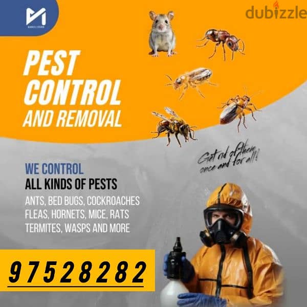 General Pest Control service for Cockroaches Bedbugs insects aunts 0