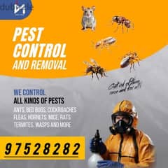 General Pest Treatment service for insects