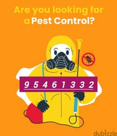 General Pest Control Treatment Service for insects