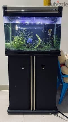 planted aquarium Boyu