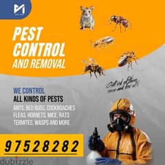 General Pest Control Treatment Service all over Muscat