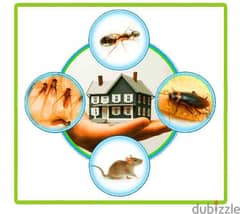 Pest Control Treatment Service for insects Cockroaches