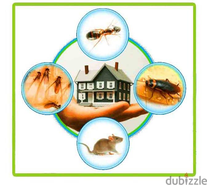 Pest Control Treatment Service for insects Cockroaches 0