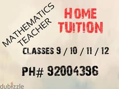 Professional Mathematics teacher doing home lessons for all grades