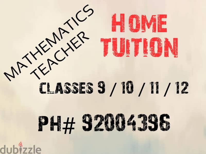 Professional Mathematics teacher doing home lessons for all grades 7