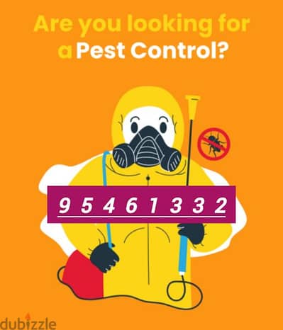 Pest Control Service for Cockroaches Bedbugs insects