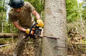 Plants and Tree-cutting Shaping Rubbish Disposaling service 0