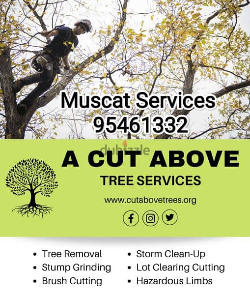 Plants and Tree-cutting Shaping Rubbish Cleaning Maintenance 0