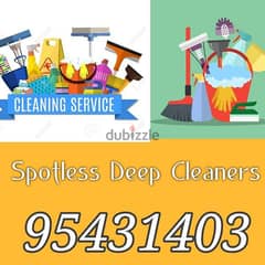 Full deep cleaning service and pest control
