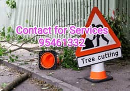 We do Plants Cutting Shaping Garden cleaning plus Maintenance,, 0