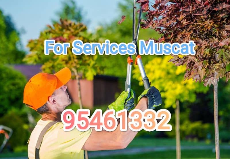 We do Plants Cutting Shaping Garden cleaning plus Maintenance>> 0