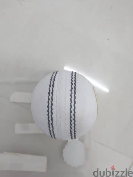 Cricket ball 2