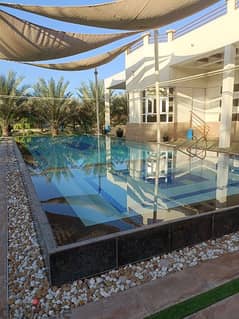 swimming pool work and house maintenance and service