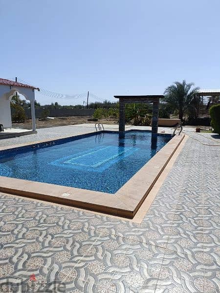 swimming pool work and house maintenance and service 1