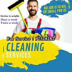 Professional House Villa or Garden Cleaning Rubbish Disposal Service