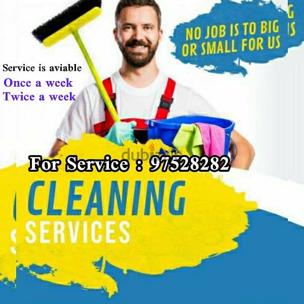 Professional House Villa or Garden Cleaning Rubbish Disposal Service 0