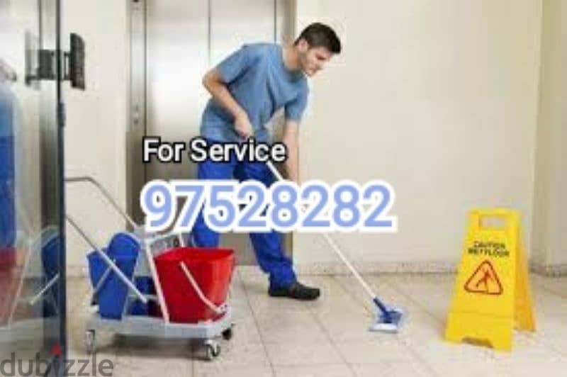 Housekeeping Villa Store Garden Cleaning Maintenance services 0