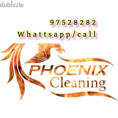 House Villa Flat Deep Cleaning Rubbish Disposal service