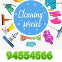 Full deep cleaning service and pest control
