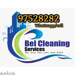 House Cleaning and Pest Control Treatment Service 0