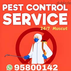 Pest Control services, Insect, Bedbugs, Rats, Ants, Cockroaches etc 0