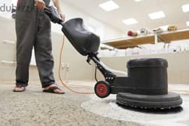 carpet shampooing cleaning services