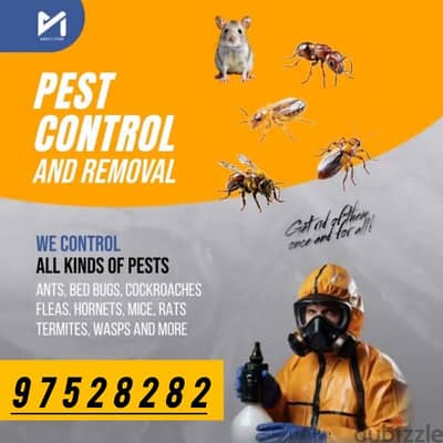 General Pest Treatment service for insects Bedbugs Aunts Cockroaches