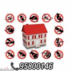 Pest Control and House Cleaning services, Bedbugs Treatment available