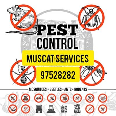 General Pest Control service for all kinds of insects