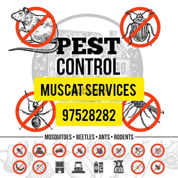 General Pest Control service for all kinds of insects 0