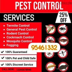 General Pest Control Service for Cockroaches Bedbugs insects aunts