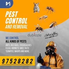 Muscat Pest Control service for Insects Bedbugs Aunts Cockroaches