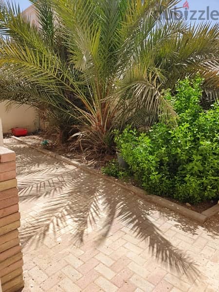 Villa for Sale in Al Azaiba 6 Bedrooms 1