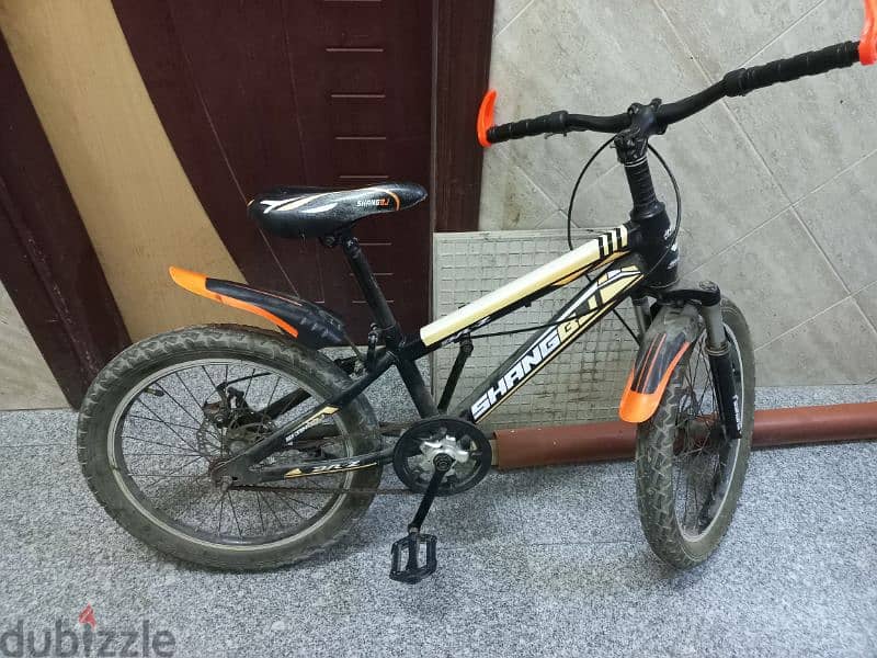 10 to 12 Year kids bicycle 1