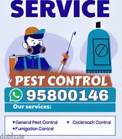 Pest Control and cleaning Services, Bedbugs Cockroaches insects lizard 0