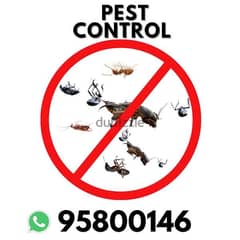 Muscat Best Pest Control and Cleaning services, Insect, Bedbugs etc 0